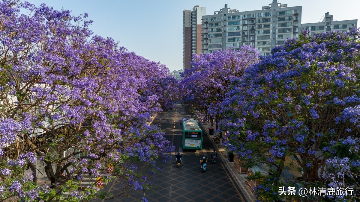 中国十大避暑康养城,全国十佳避暑康养小城