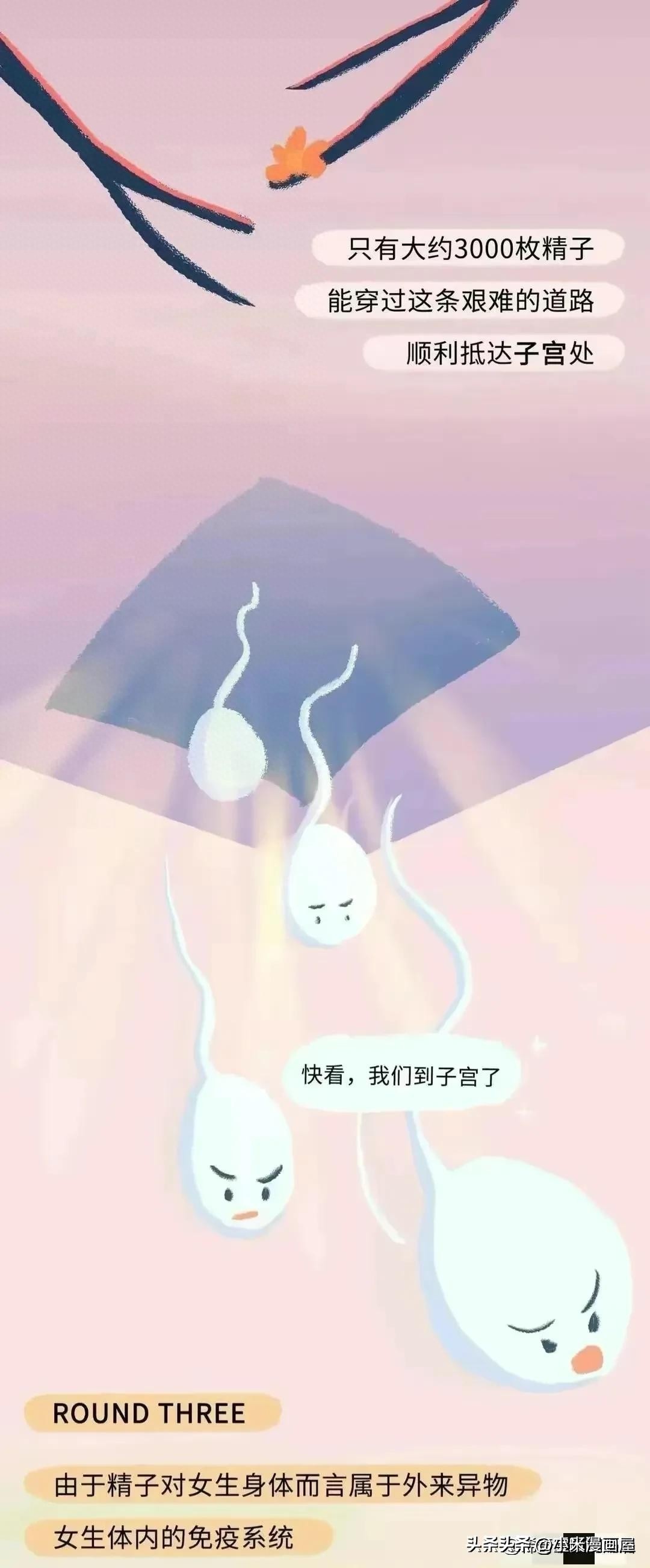 小蝌蚪找妈妈故事完整漫画,漫画中小蝌蚪是什么