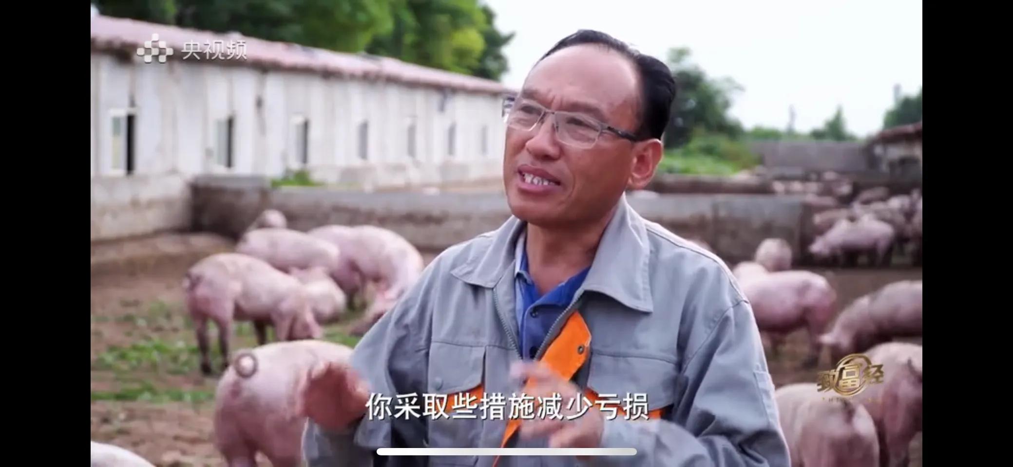 小伙子养猪5年后挣钱5多亿,农村小伙养猪赚过亿