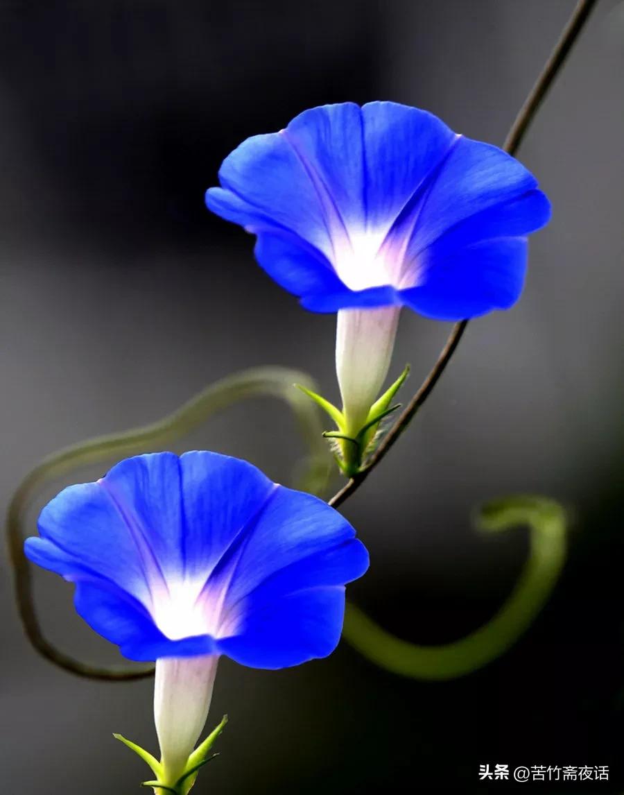 如何驱赶心中的恐惧,赶走焦虑好方法是什么