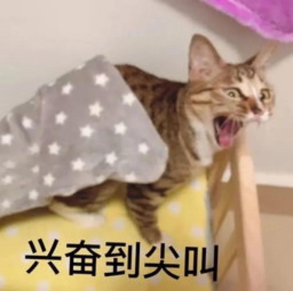 天津春节逛庙会看灯会指南,天津古文化街2022春节有灯会吗