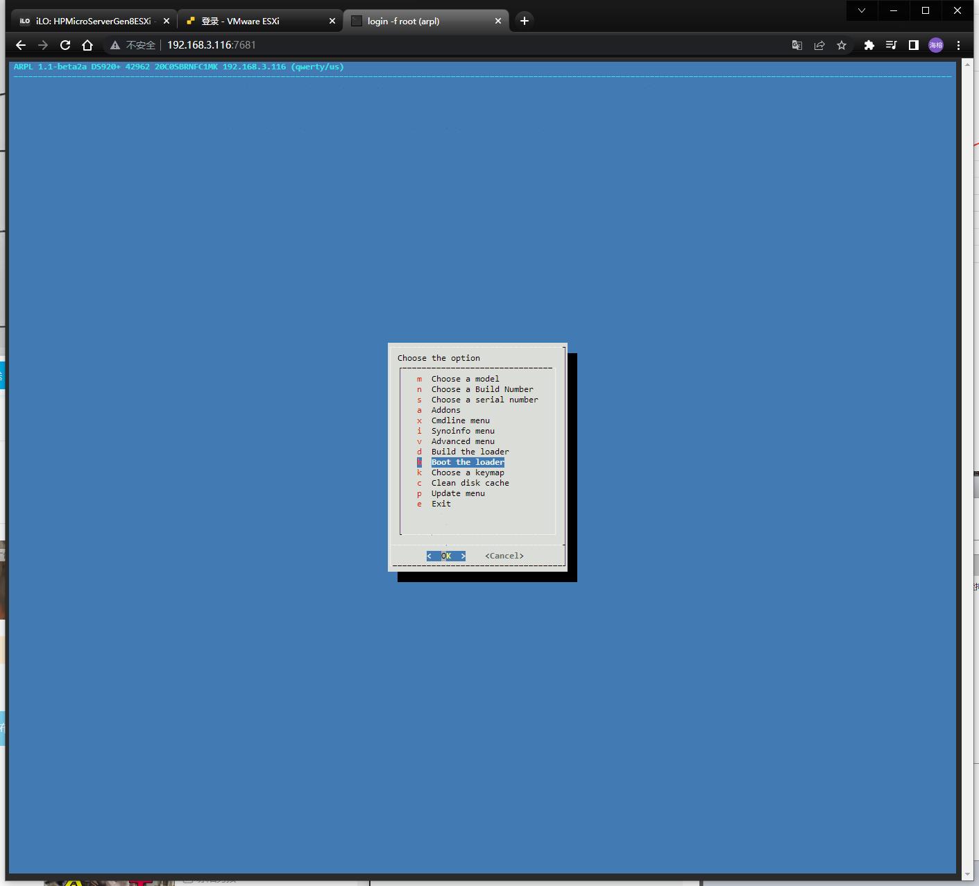 esxi虚拟化群晖安装教程,esxi给群晖nas扩容
