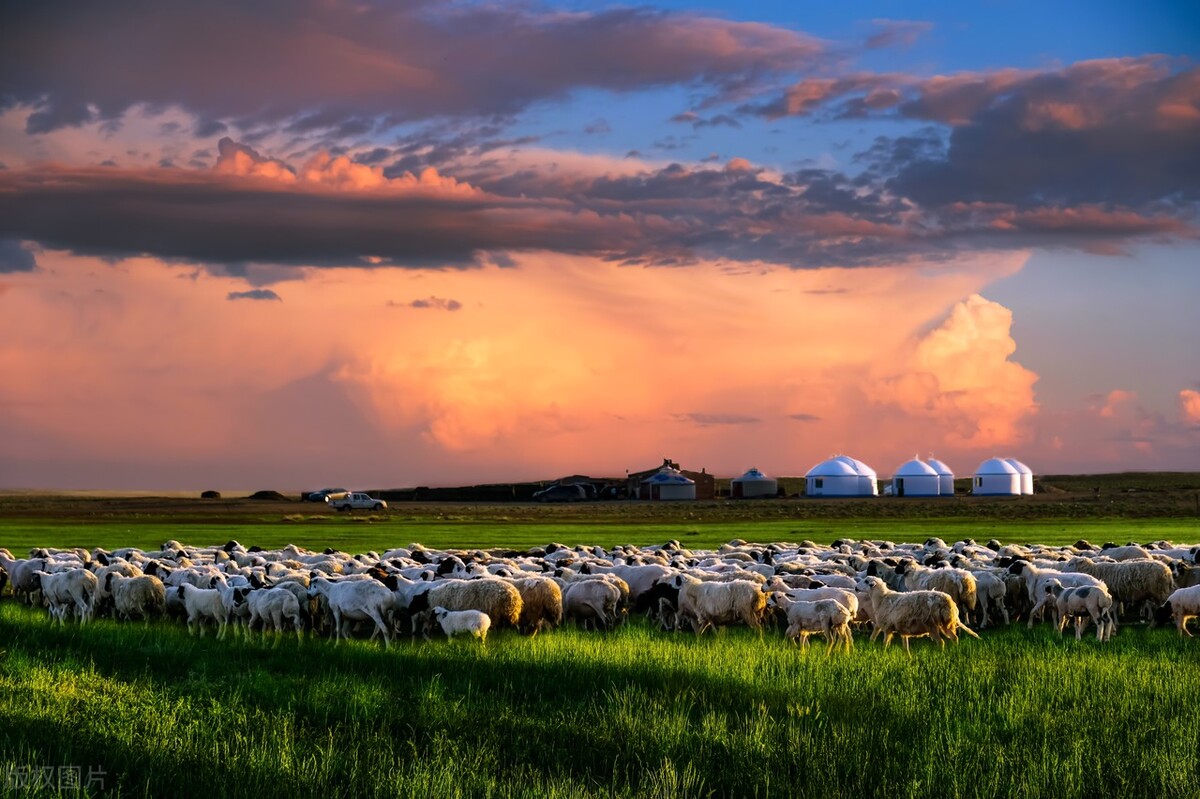 内蒙古旅游攻略超详细,内蒙古旅游攻略详细