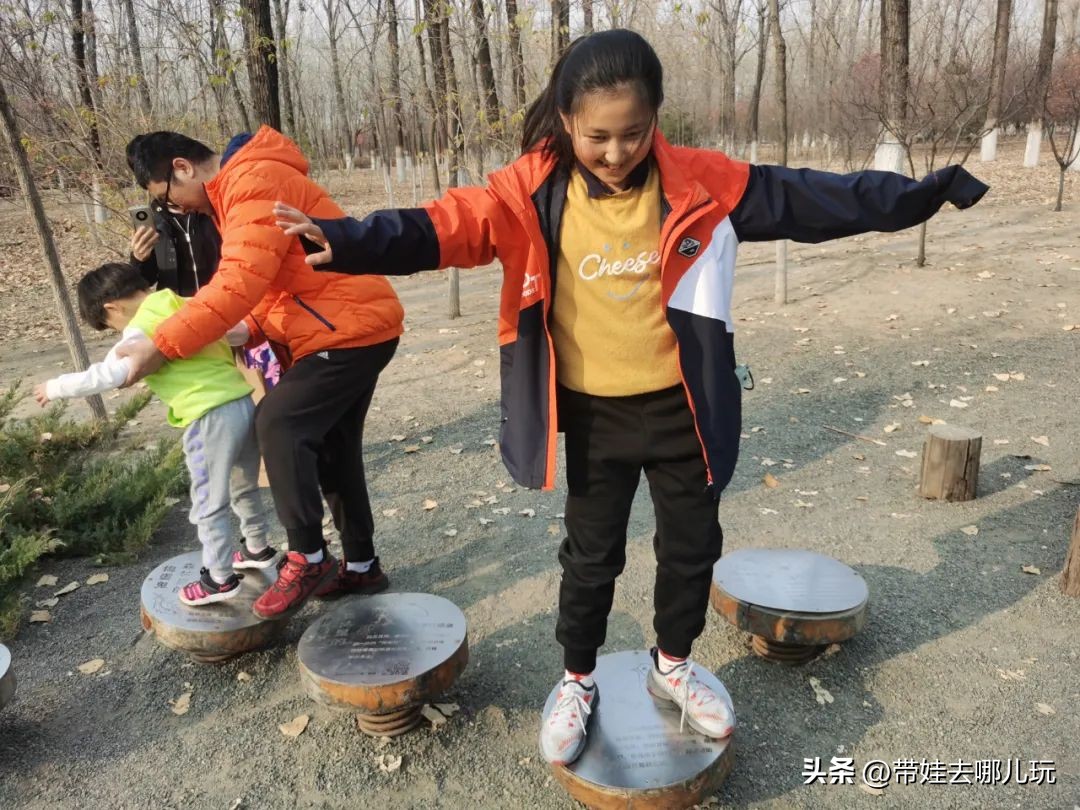 骑行国家森林公园,徒步骑行森林公园