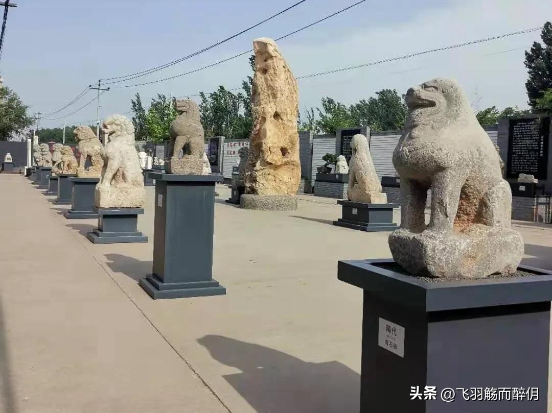 五一沧州一日游最佳攻略,沧州人五一去哪儿玩