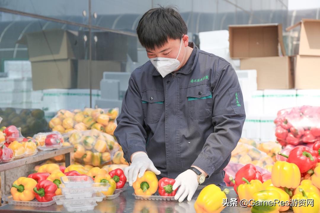 驰援上海抗疫物资,支援武汉疫情捐蔬菜