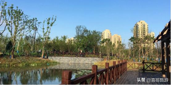 台州路桥自驾游推荐景点,浙江台州路桥有哪些游玩的地方