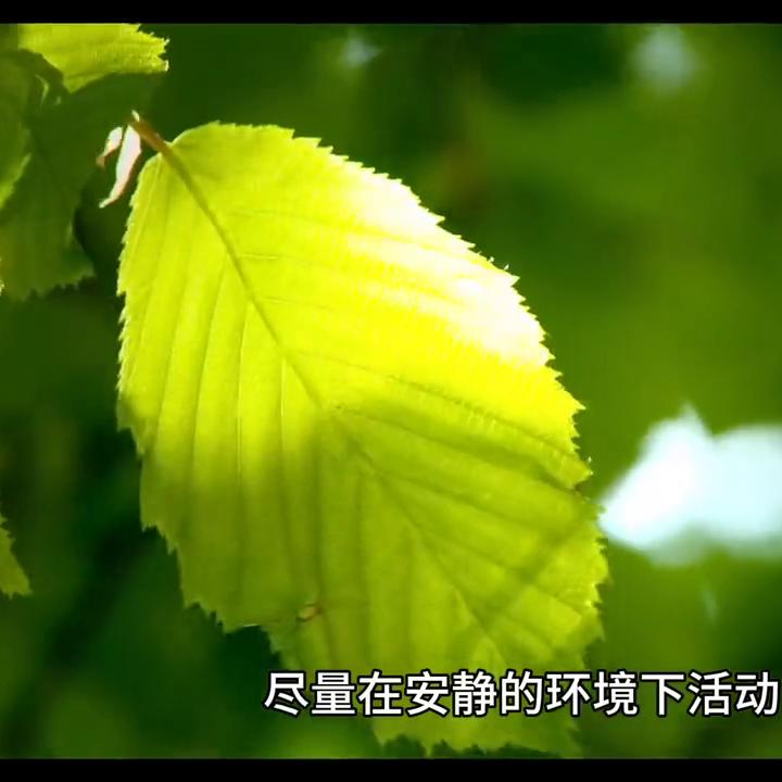 脐带打结跟脐带缠绕有什么区别,脐带绕颈一周有什么办法绕出来