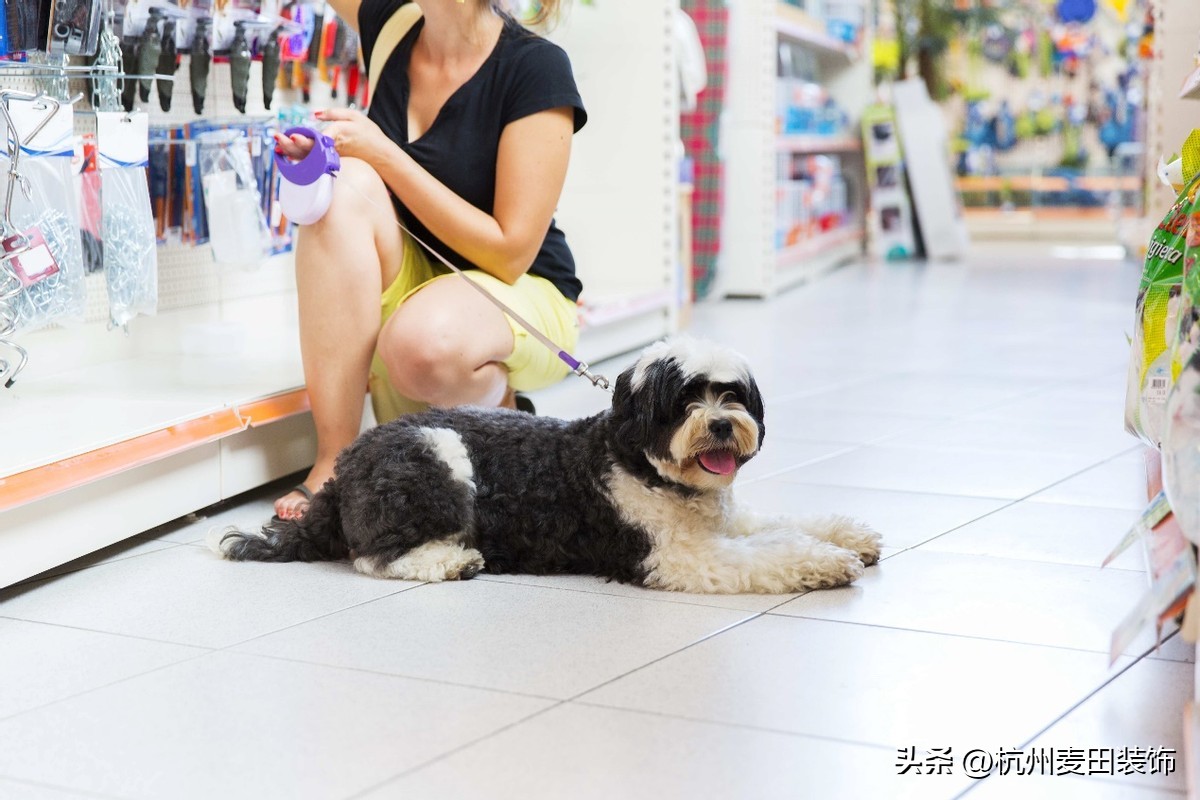 打造宠物小窝,创意宠物店装修布置