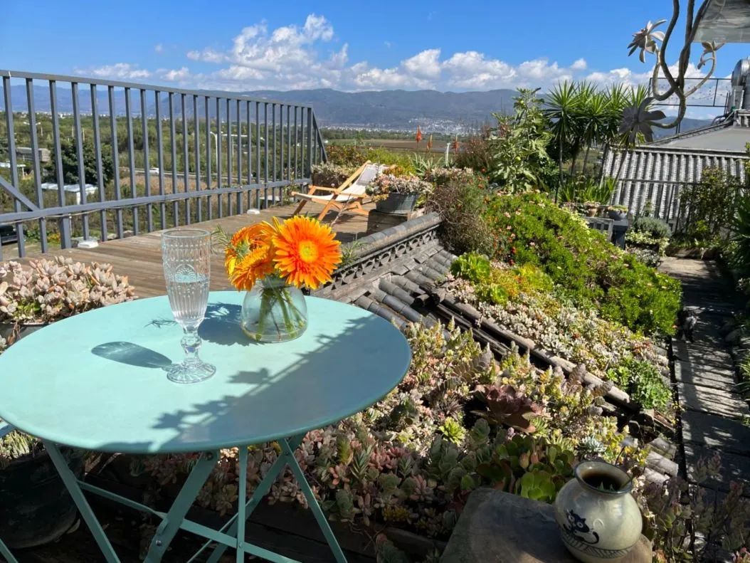 食物故事纪录片,食物故事大全完整版