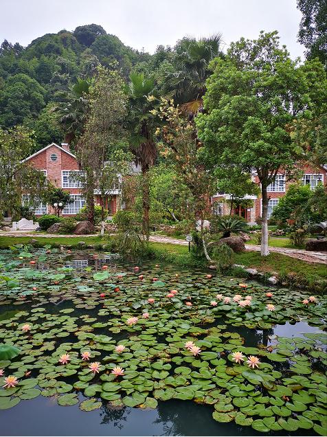 刘柏荣|豪*欲情**把春留住：花困东君酒点唇（原创诗词十首）