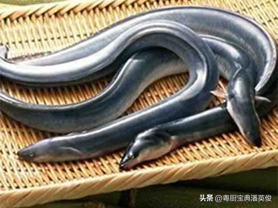 广东正宗粤菜菜谱书,粤菜100道经典粤菜教程