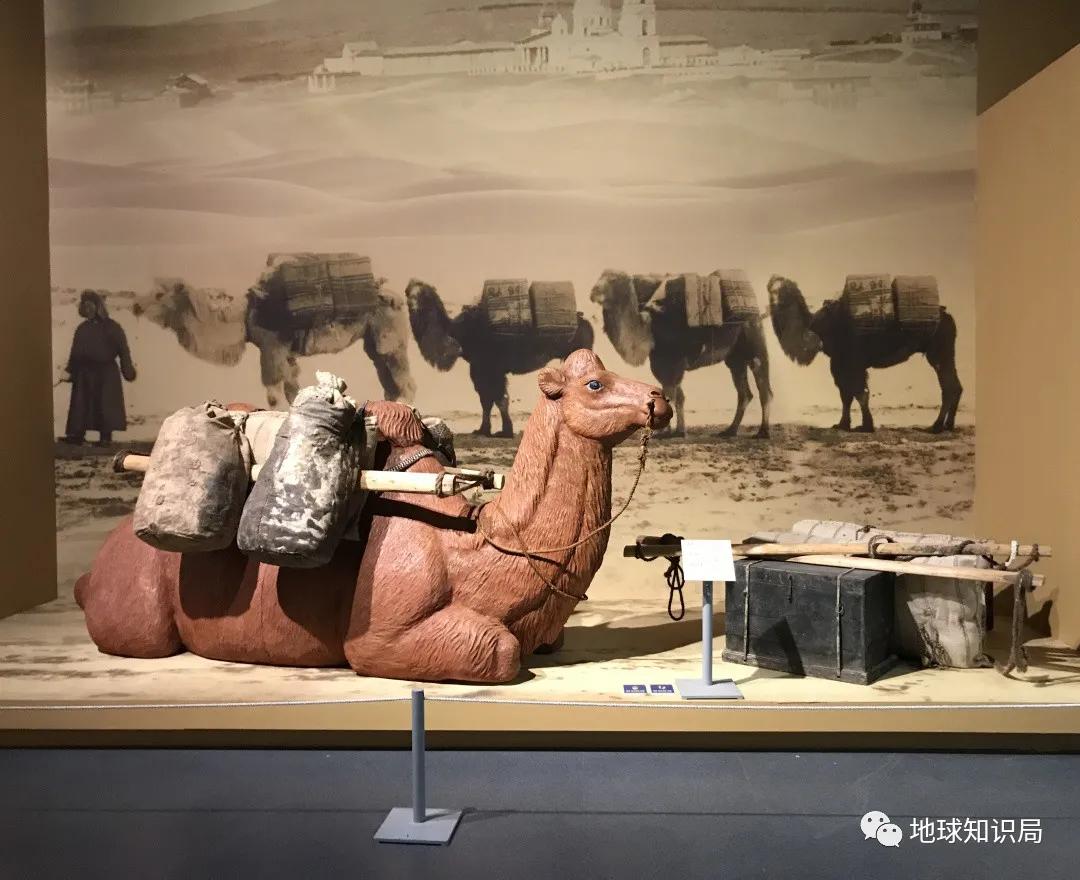 为什么是河北张家口？｜地球知识局