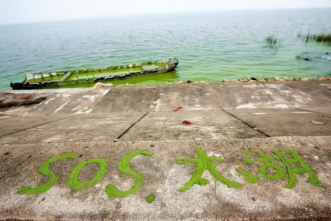 长三角的经济发展格局,长三角大湾区经济体