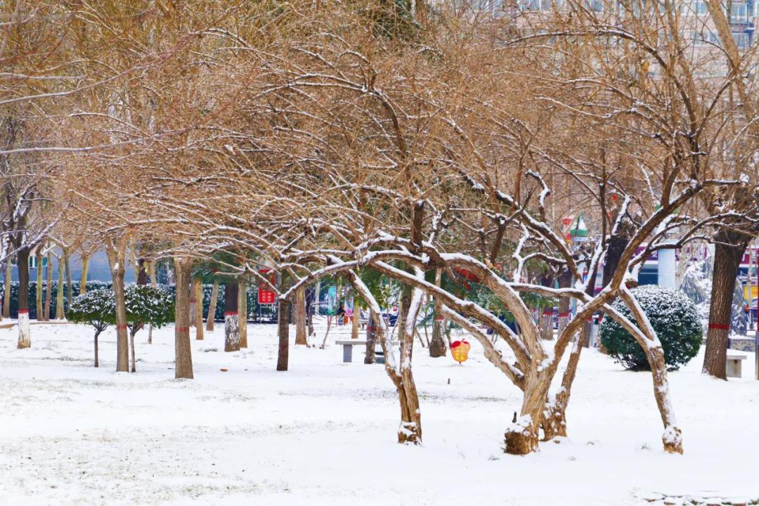 一下雪扬州就美成了广陵,一下雪新疆就美成童话世界