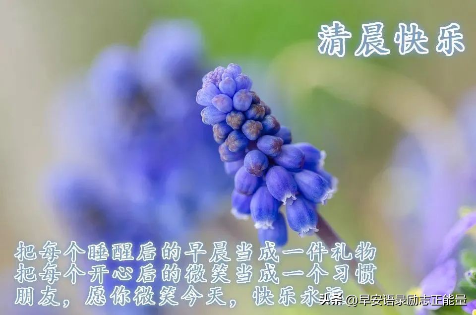早安语录正能量朋友圈短句子图片,早安语句正能量的句子朋友圈图片