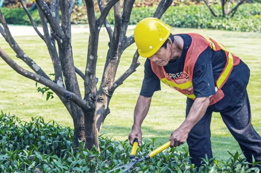18年前的佛山,佛山有没有万科