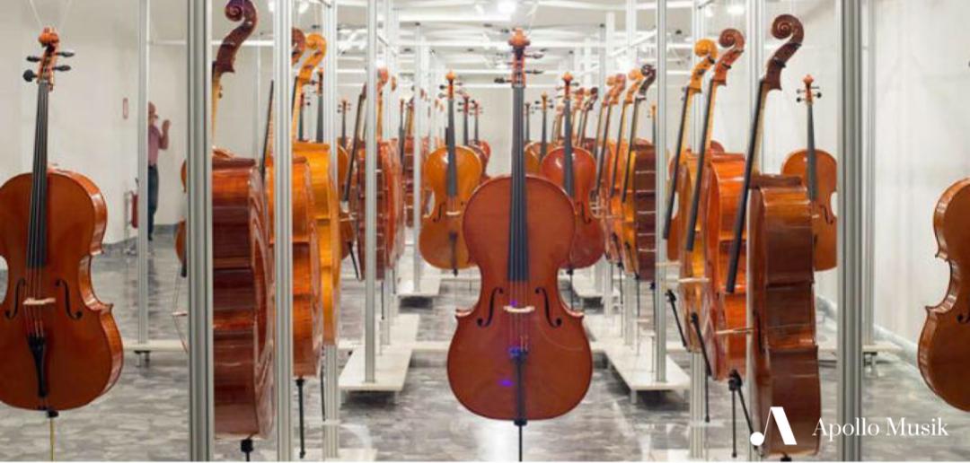 干货！德国音乐生活基金会（DeutscheStiftungMusikleben）