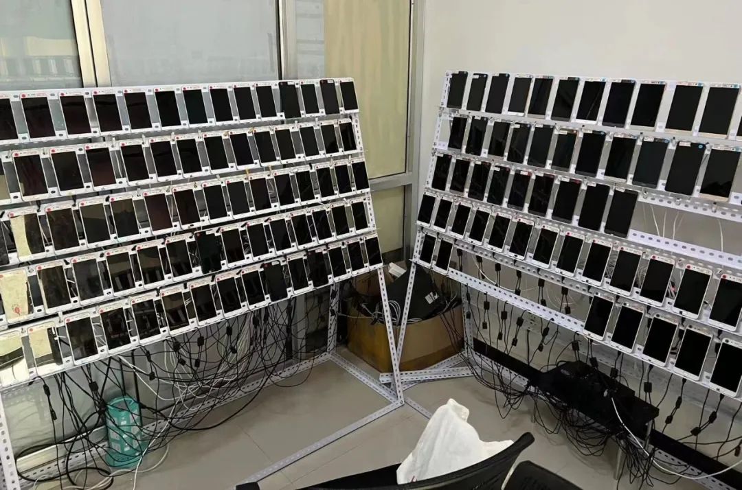 德州净网行动最新消息,德州净网行动