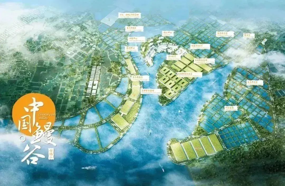 福建天马科技集团一年营收,福建天马科技集团最新消息