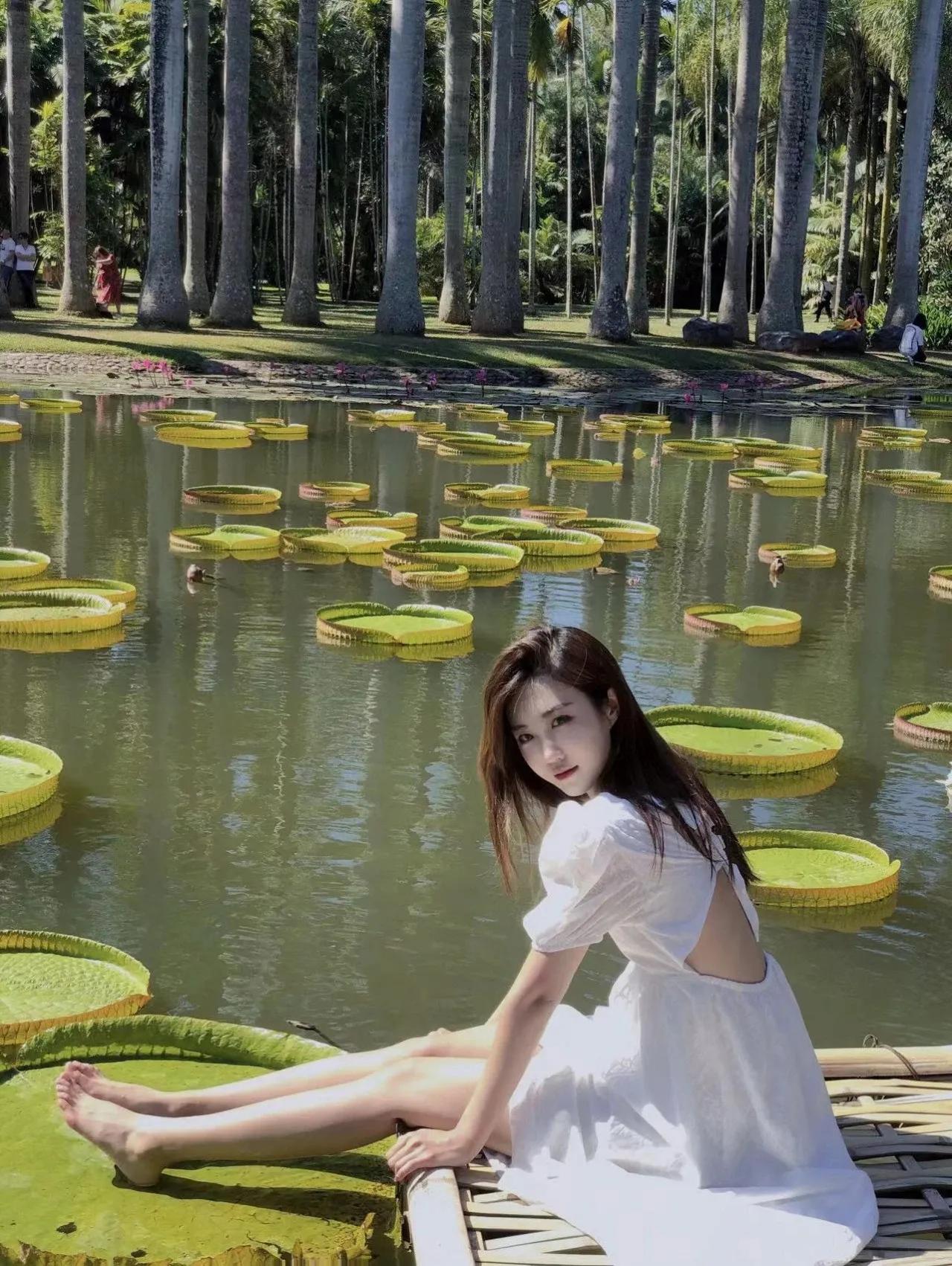 云南西双版纳风景领略异域风情,云南西双版纳真实风景