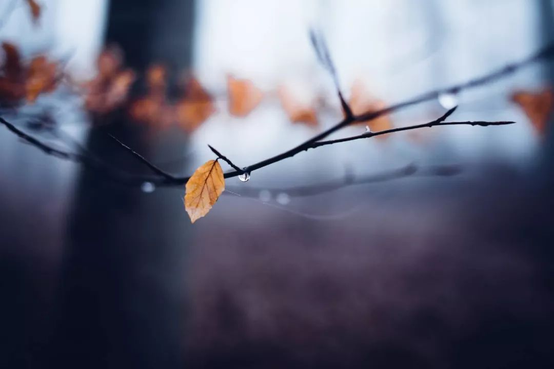 人到中年，最好的活法，24个字