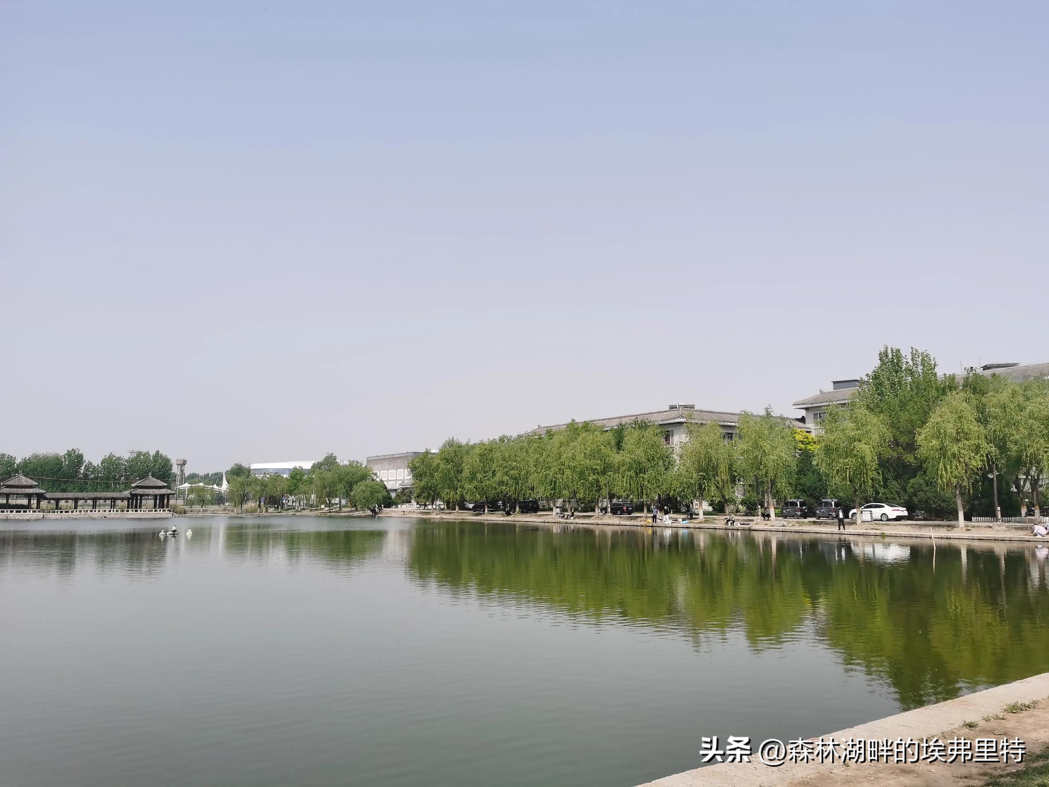 蟹岛度假村火灾,蟹岛度假村视频