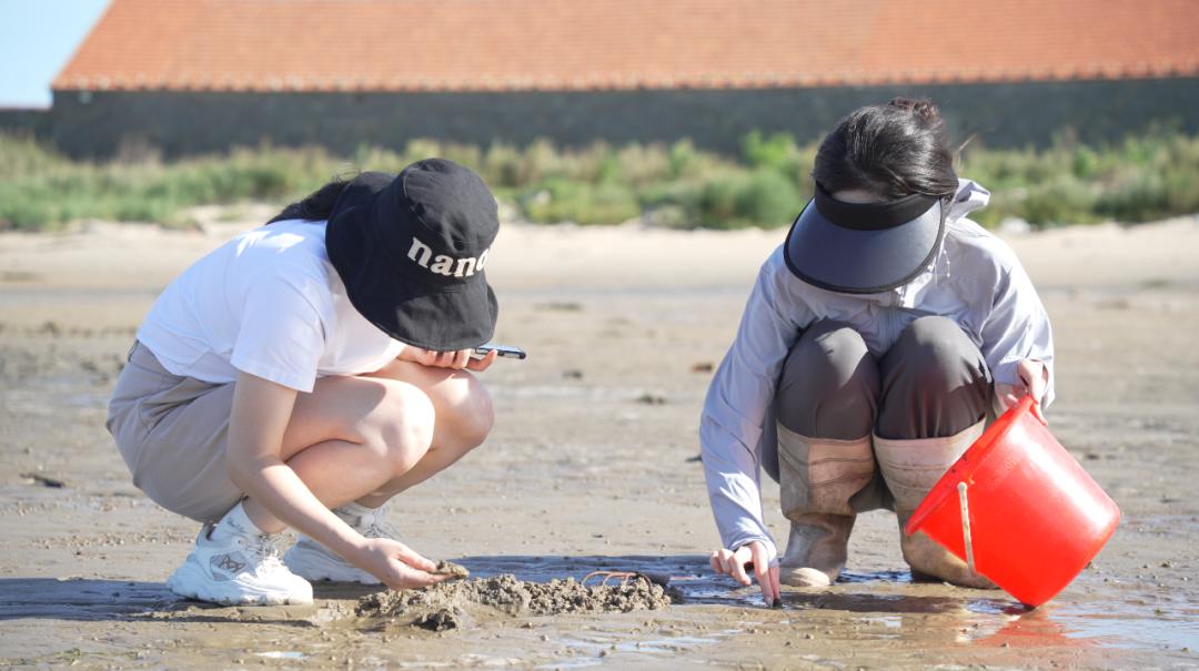 海边城市吃海鲜推荐,海边适合吃海鲜的小众城市