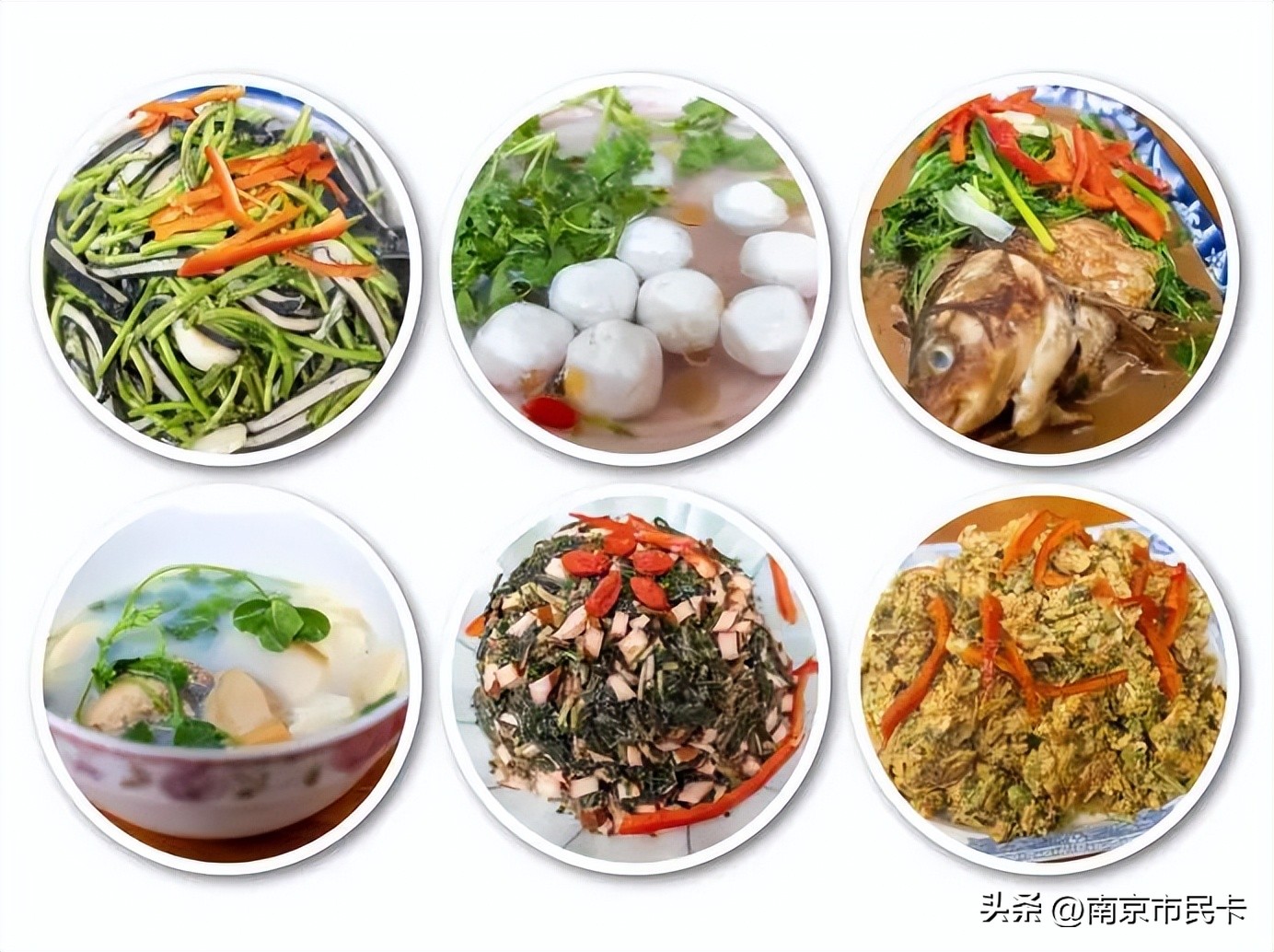 南京金陵春光旅游,金陵之春旅游攻略大全