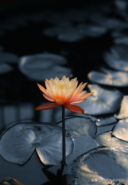 微信昵称暴露你的性格,微信名暴露性格