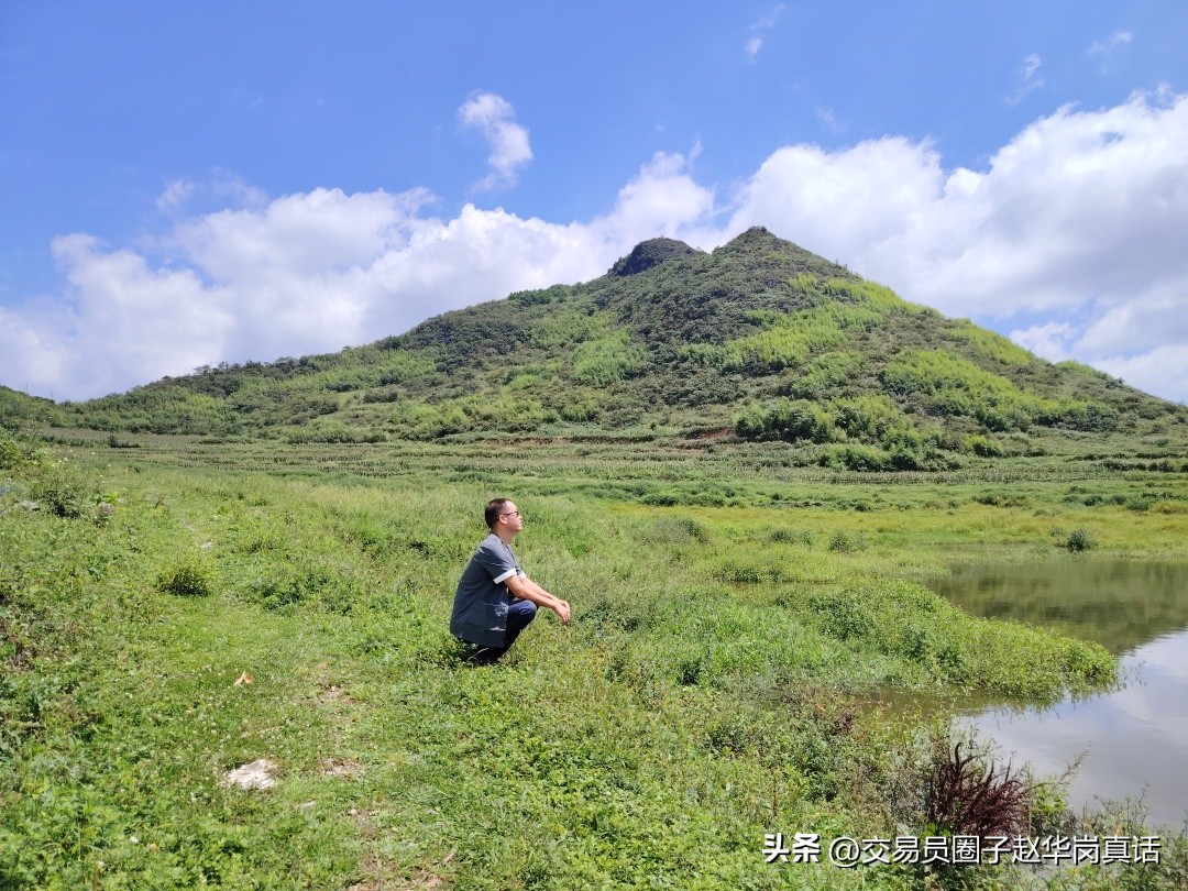 赵华岗交易战法,赵华岗外汇特殊战法