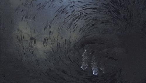 国产科幻动画不输灵笼,科幻动画片推荐大片9.0以上评分