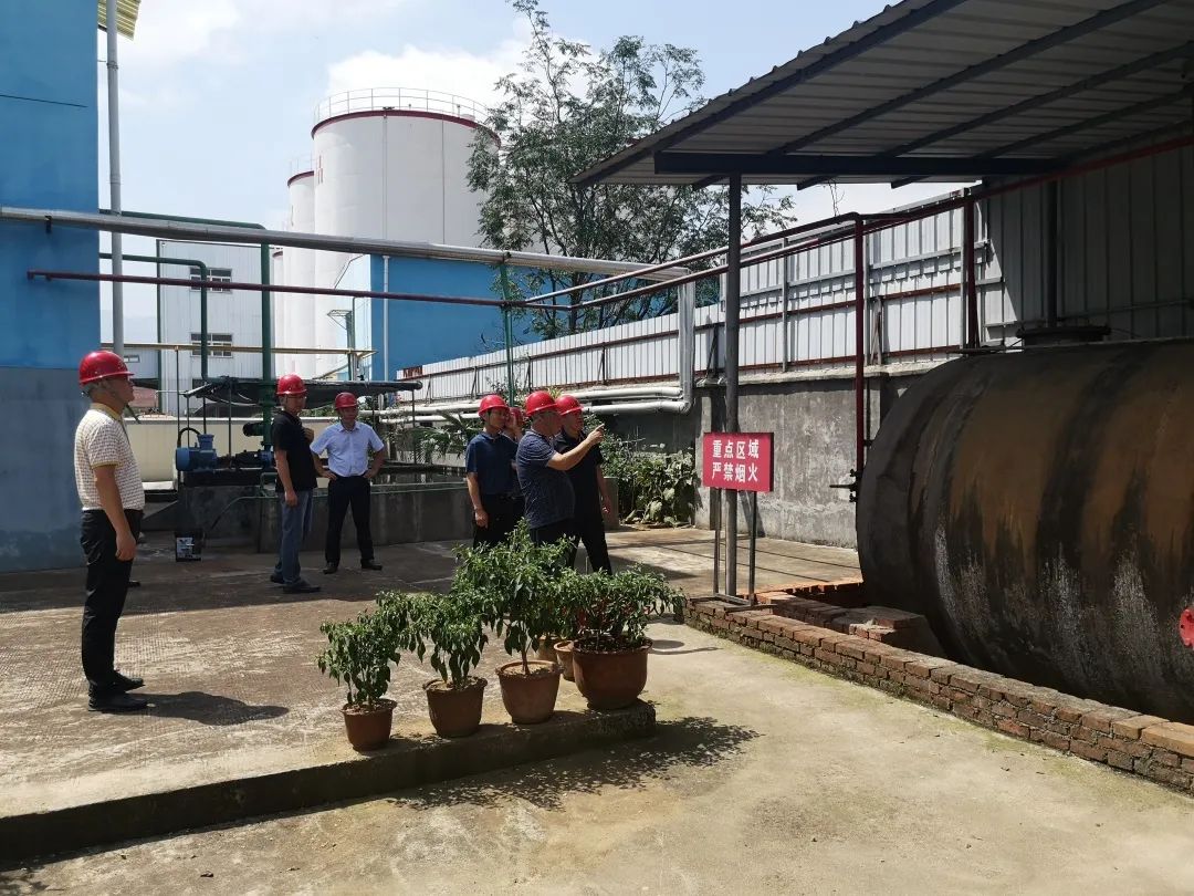 创建全国文明城市全力助推创文,创建文明城市创文