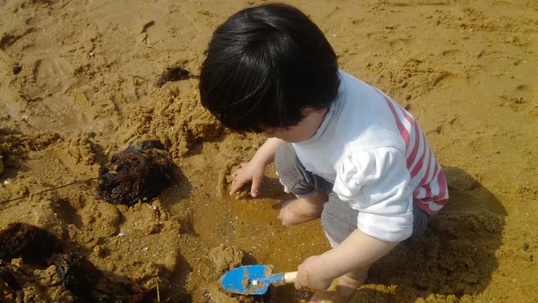 春天里的第一场露营安排,春天的第一次露营开始了