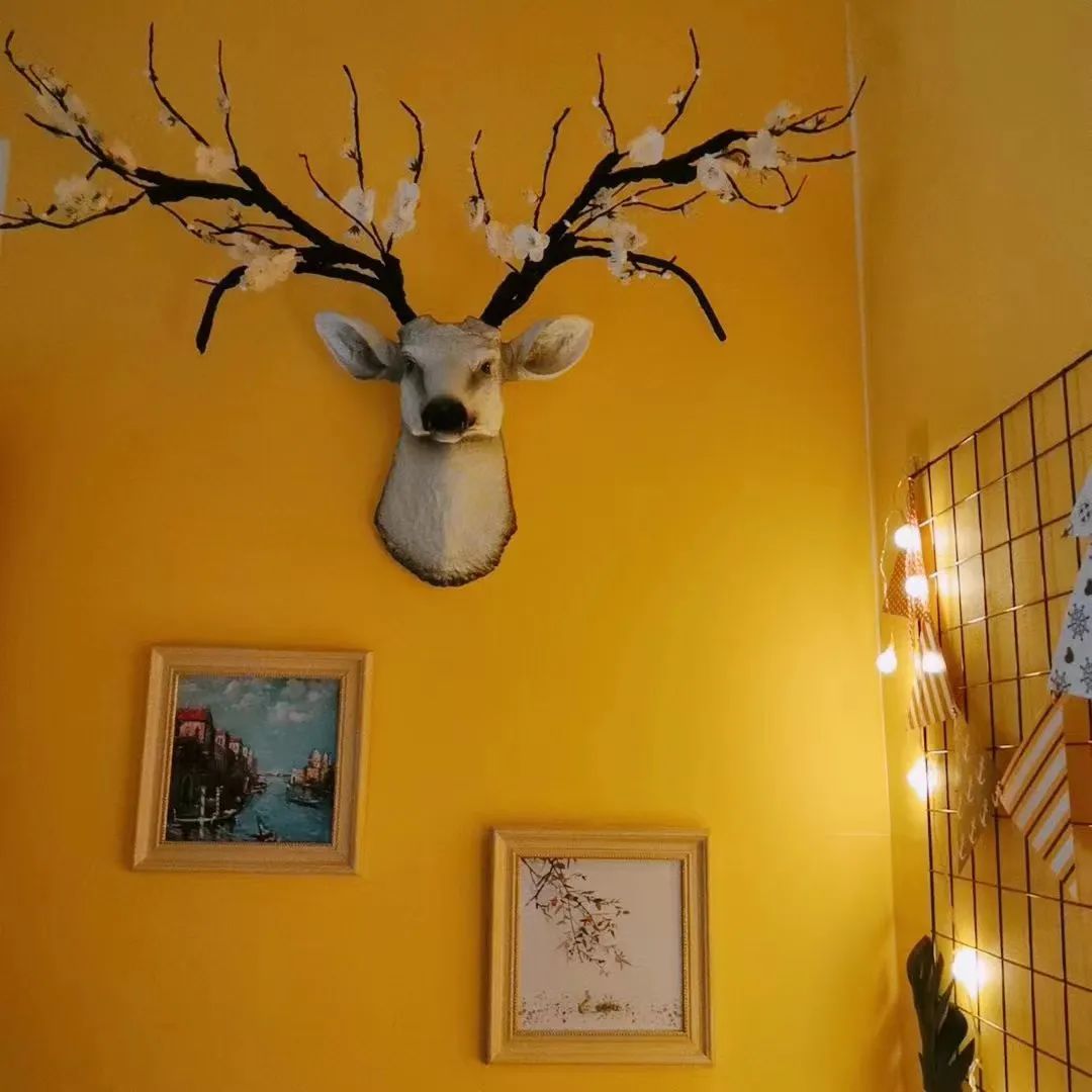 这些宿舍！可以说是卧虎藏龙！