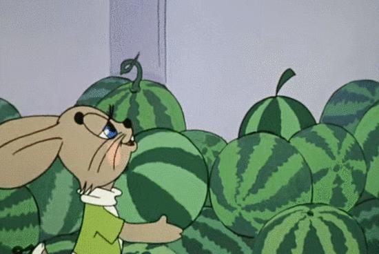 三伏天吃瓜群众,三伏天如何做一个合格的吃瓜群众