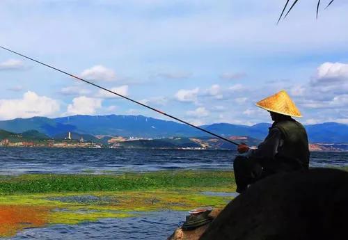 官司输了怎么办,排位老是输怎么办