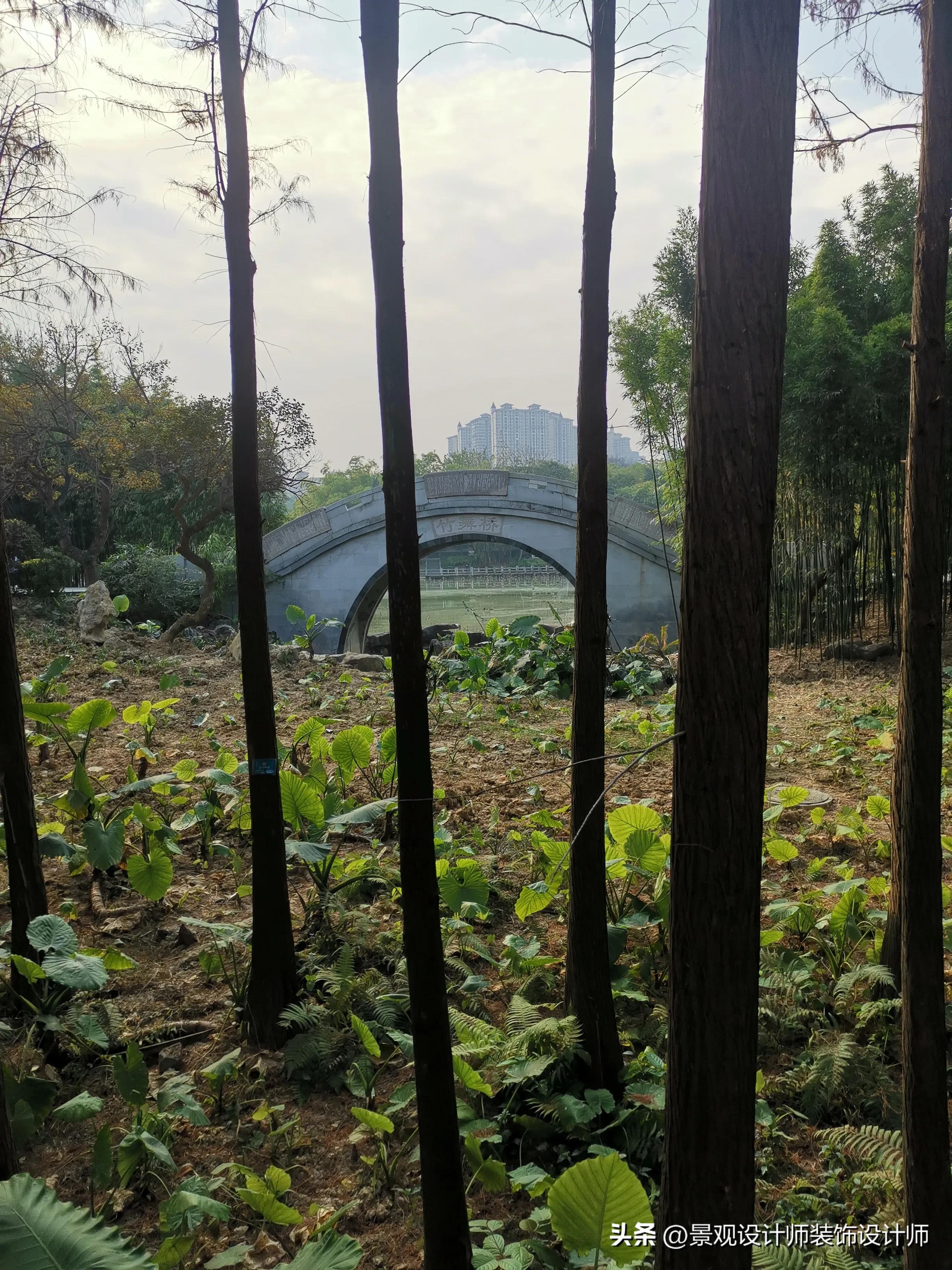 南宁市狮山公园办公区,南宁市狮山公园地址