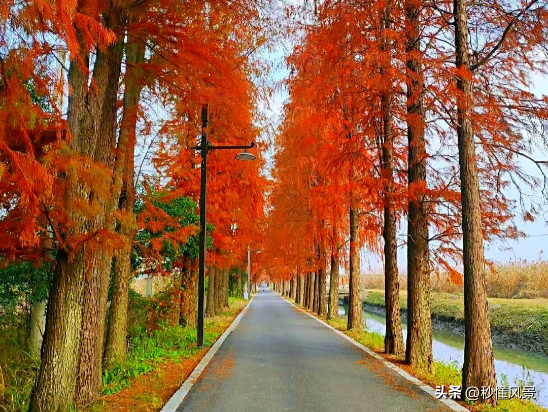 上海黄浦江沿线有哪些公园,上海外滩黄浦江景区