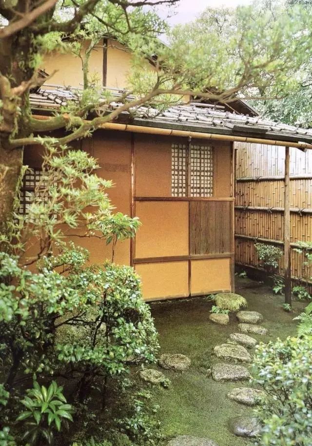 日本喝的茶是什么茶,日本喝茶的方式