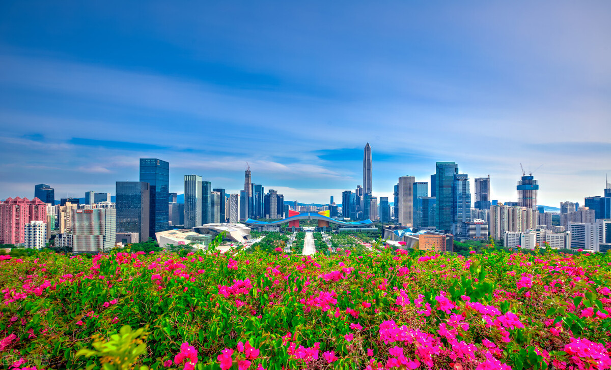 深圳成功打造世界著名花城,深圳打造国际花园城市