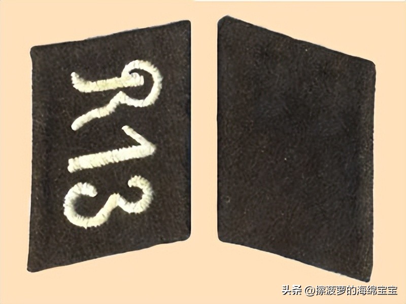 纳粹冲锋队用的什么枪,纳粹德军军衔图解