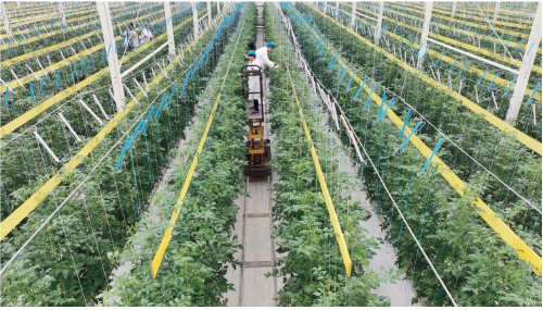 农业绿色转型的内涵及路径,我国农业绿色发展获积极成效