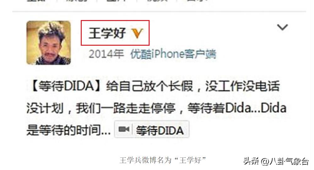 孙宁王学兵离婚原因,孙宁王学兵离婚