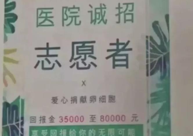 高校女厕中的高薪“兼职”，撕碎了多少女大学生遮羞布