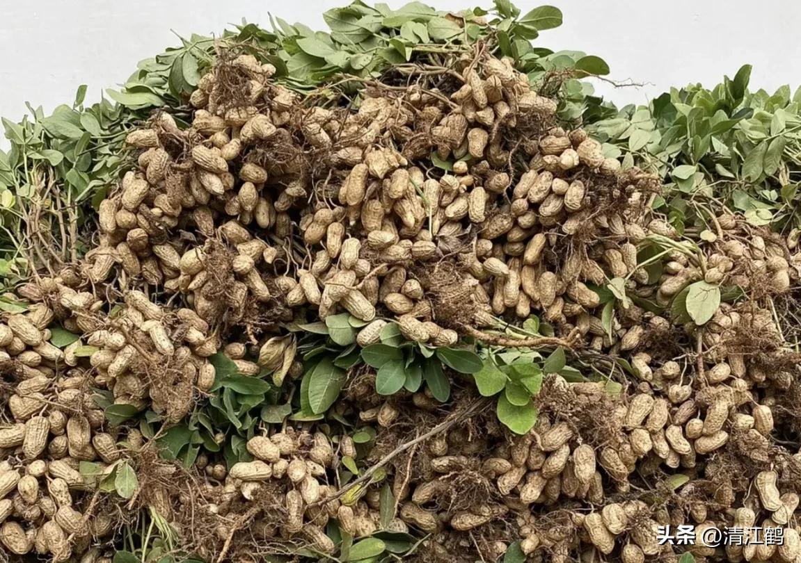 人称“蜂花醇”，有“9大增产用途”，对照使用，可提质增效