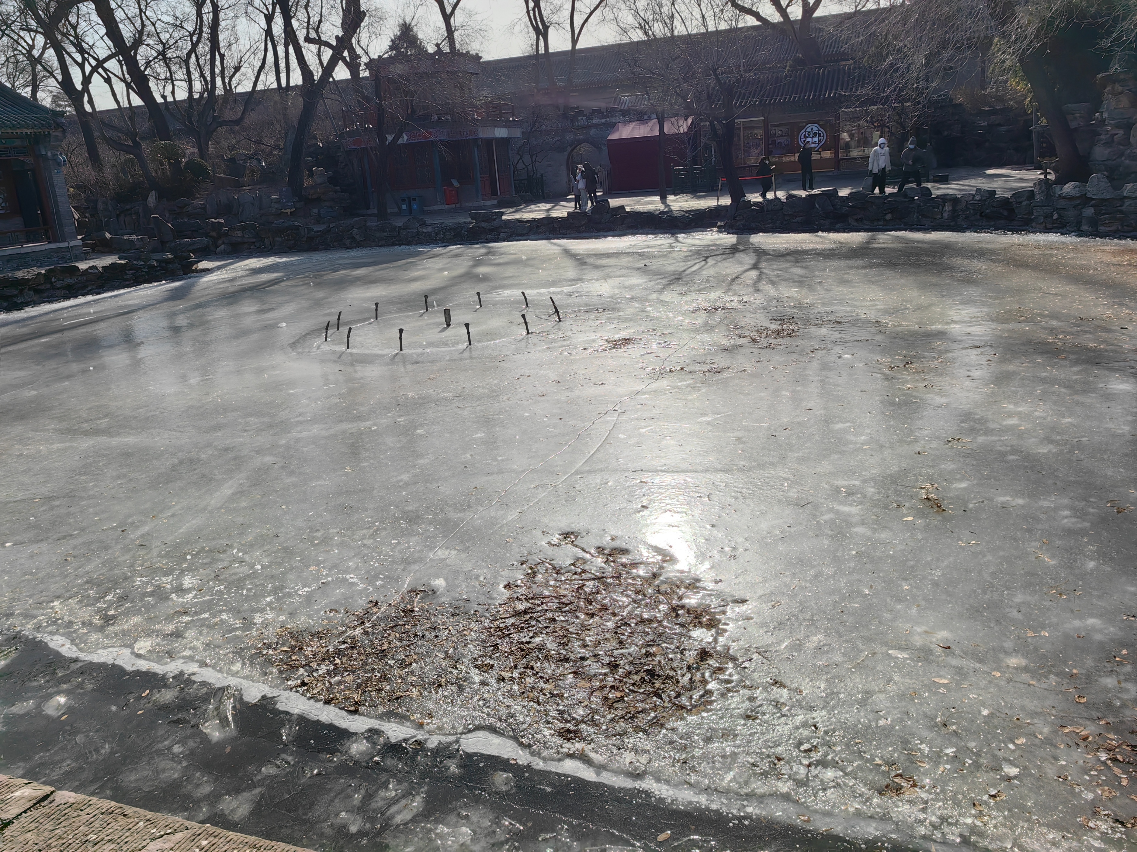 第六百零一天:20230118(星期三.晴)