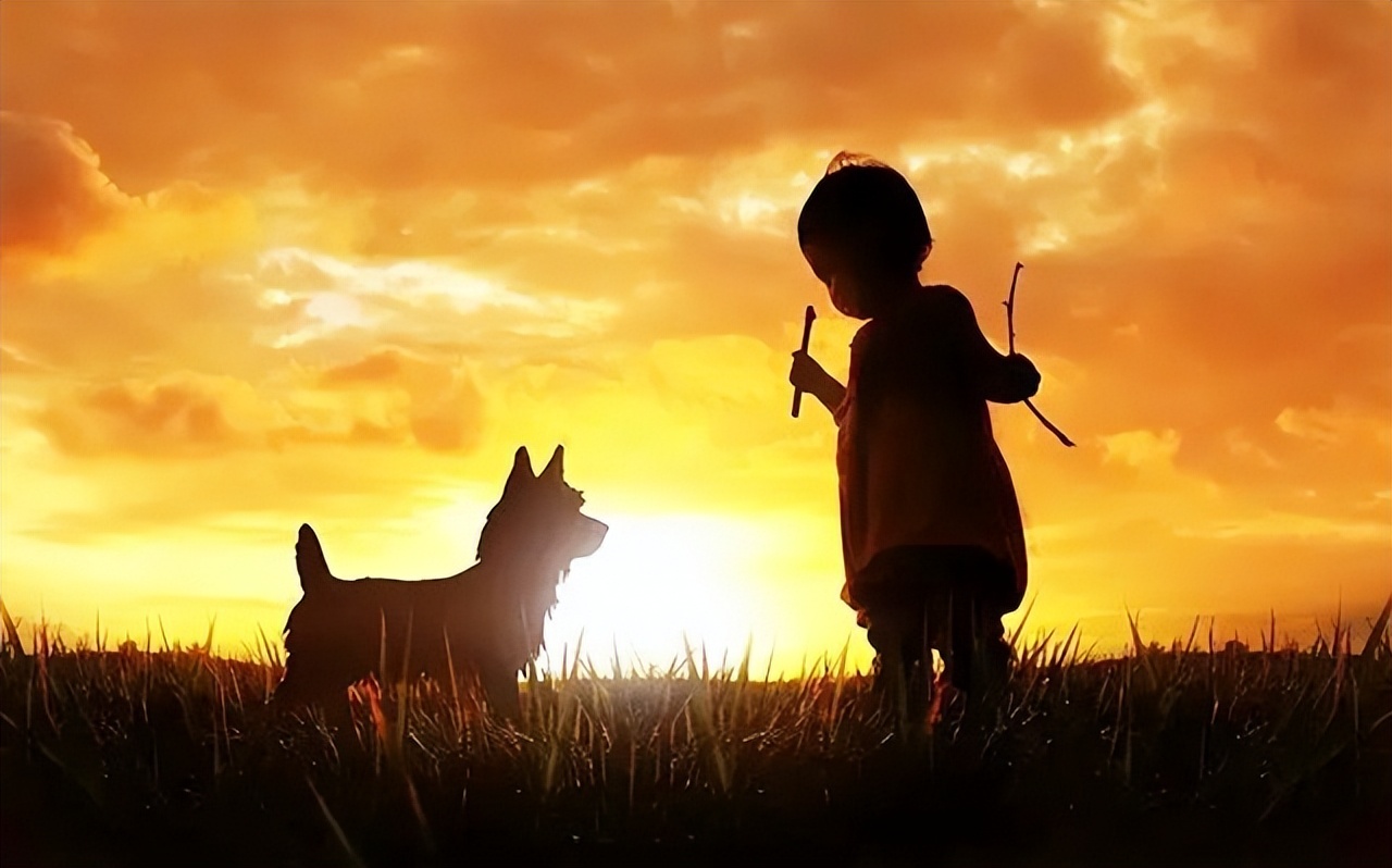 鸟脸妈妈坚持二胎,鸟脸妈妈不顾反对生二胎