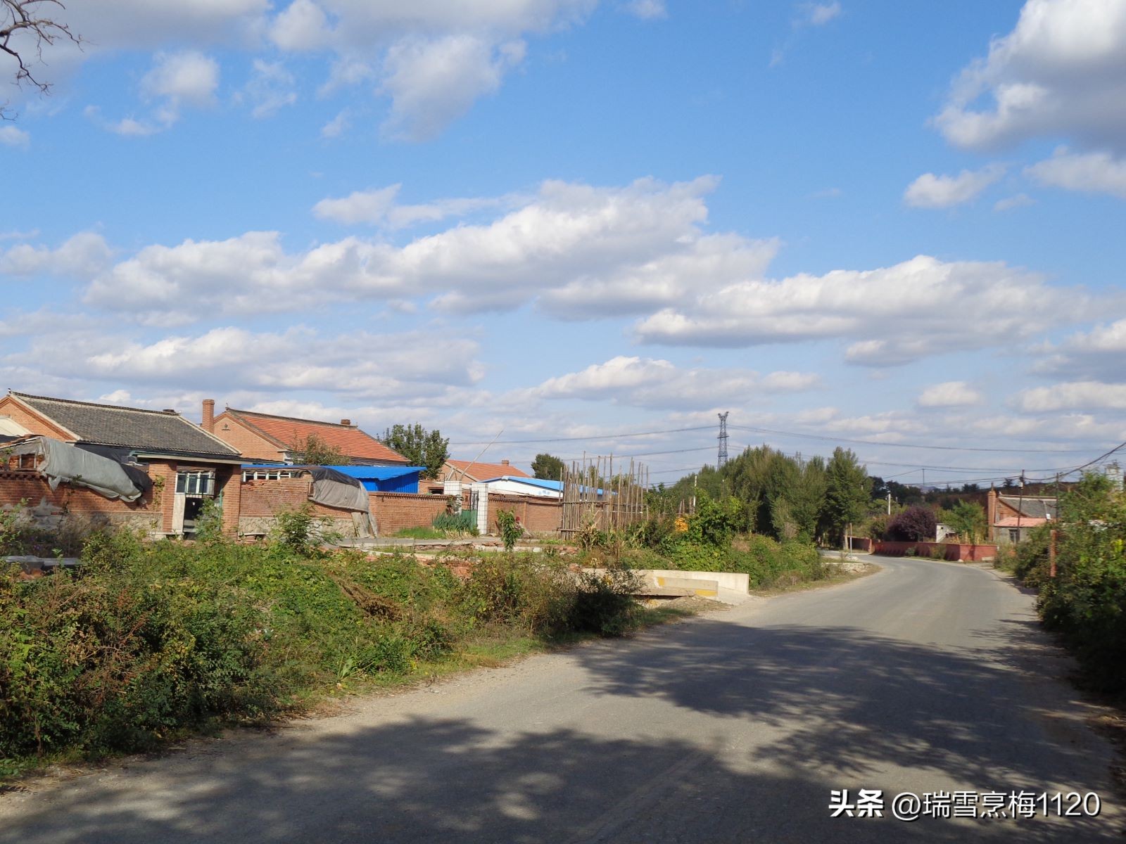 地名档案|旁新线公路沿线村庄之四：沈北新区马刚街道依路村