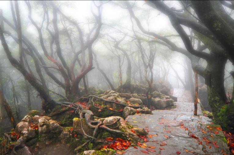 金佛山景区内温泉,金佛山温泉度假村泡温泉